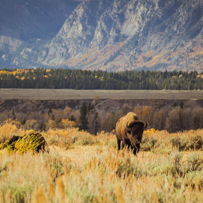 tim peterson 1099515 unsplash tim peterson 1099515 unsplash